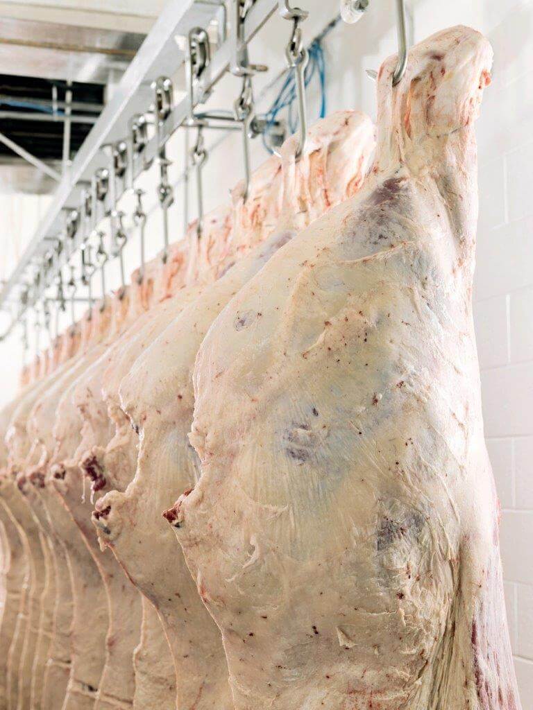 Image Not Found On Media Library