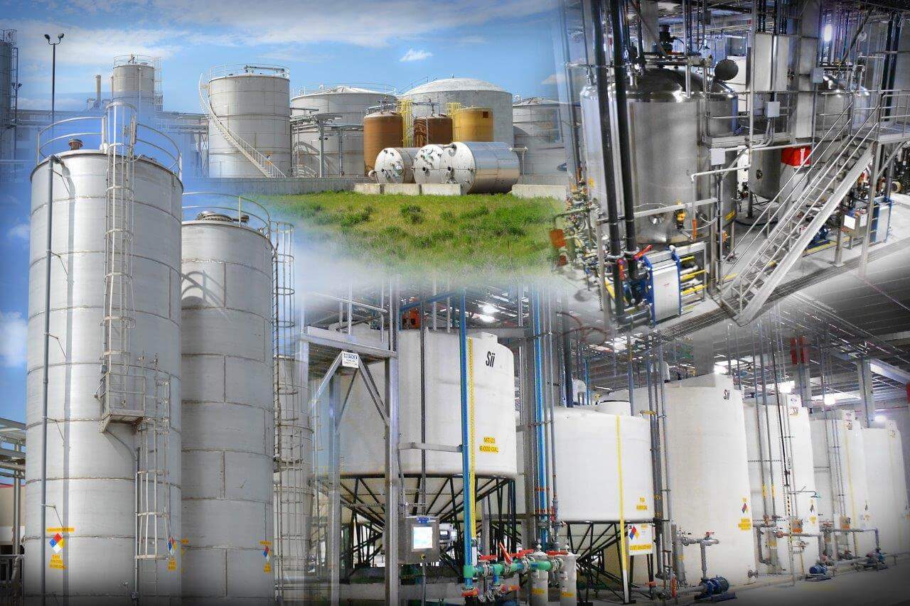 Image Not Found On Media Library