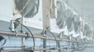 Пневматическое распыление в сочетании с воздушным охлаждение очень эффективно